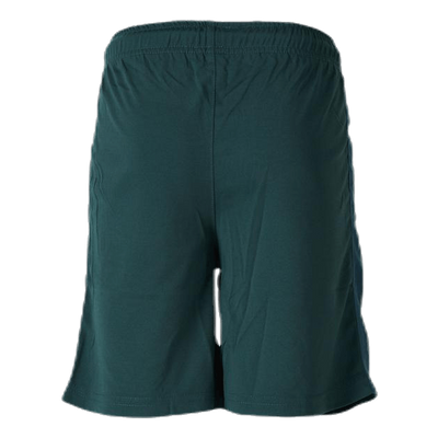 Shorts X-Cool Green