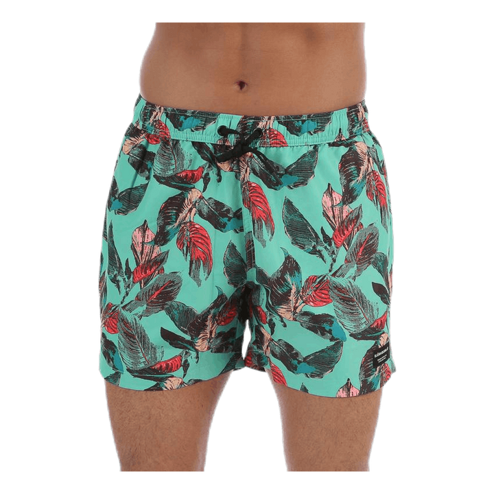 Sylvester Swimshorts Blue/Pink/Green