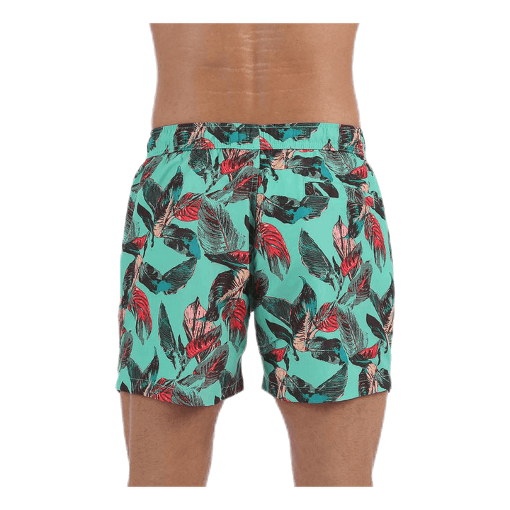 Sylvester Swimshorts Blue/Pink/Green