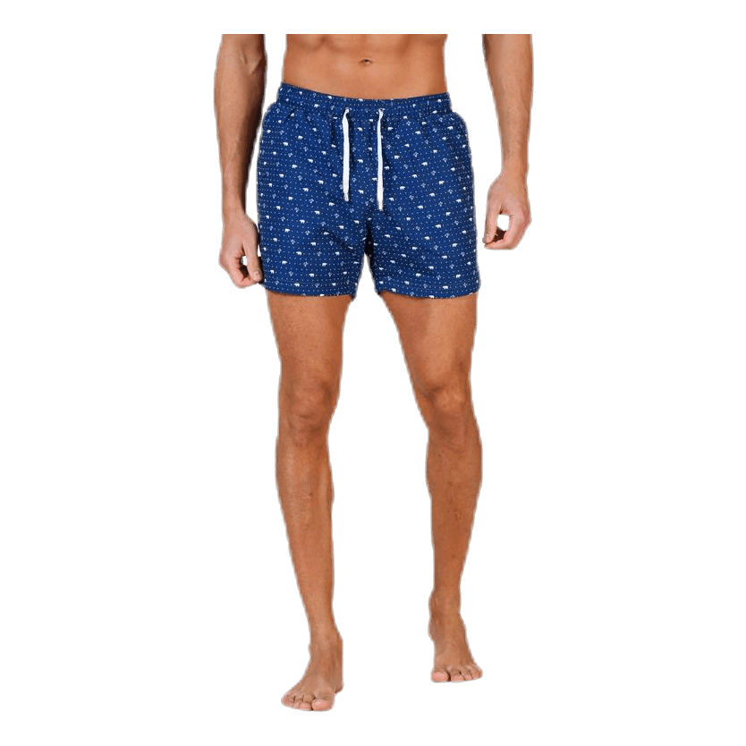 Polar Apollo Blue