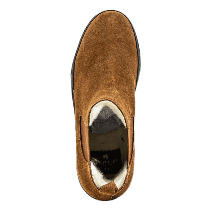 Amber Brown