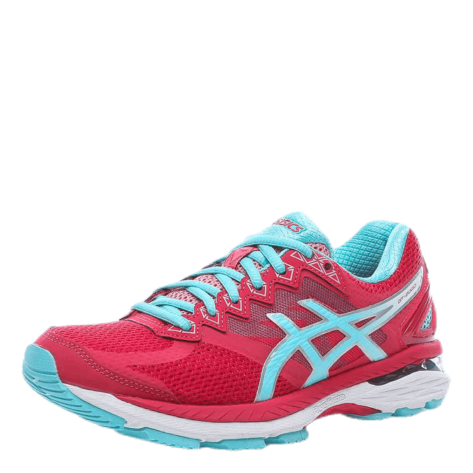GT-2000 4 Pink/Blue