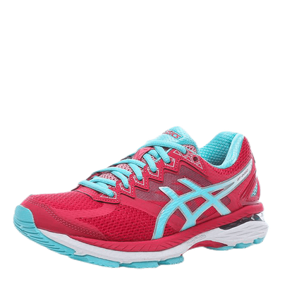 GT-2000 4 Pink/Blue