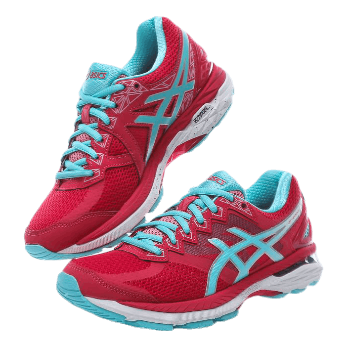 GT-2000 4 Pink/Blue