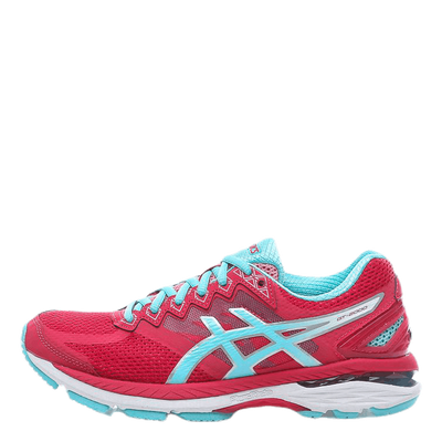 GT-2000 4 Pink/Blue