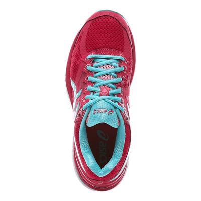 GT-2000 4 Pink/Blue