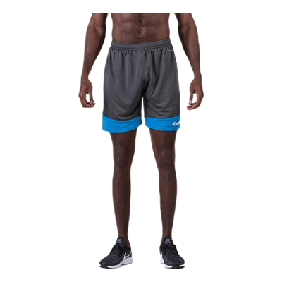 Emotion 2.0 Shorts Blue/Grey