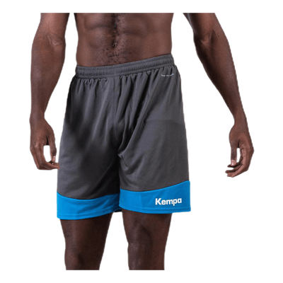 Emotion 2.0 Shorts Blue/Grey