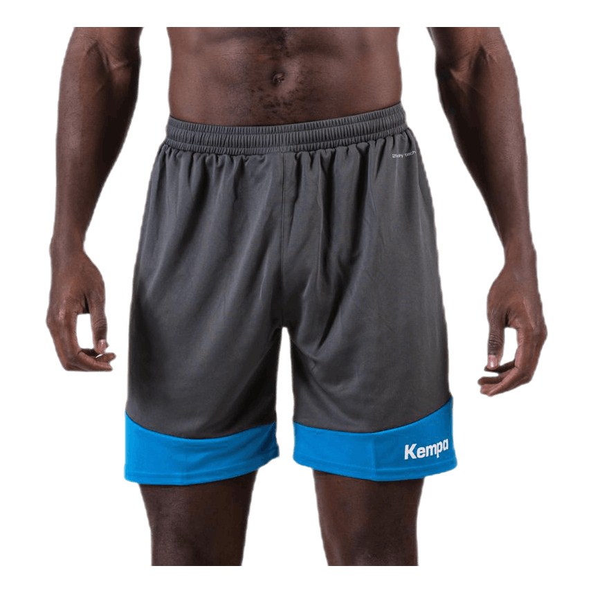 Emotion 2.0 Shorts Blue/Grey