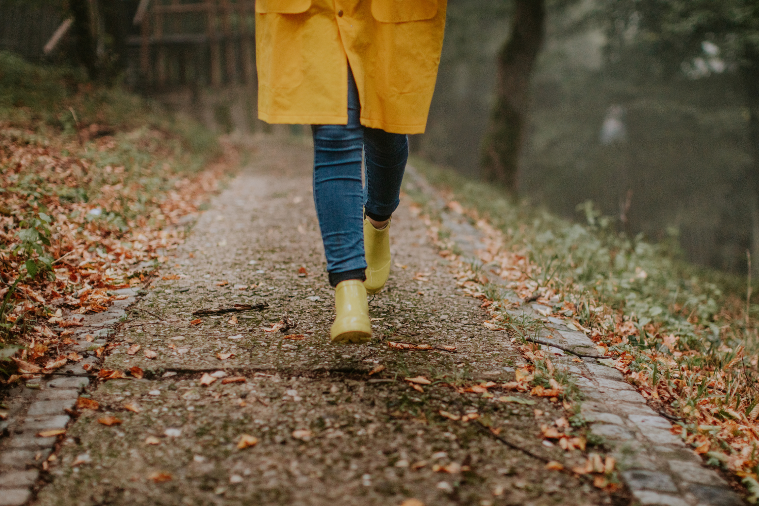 Womens boots