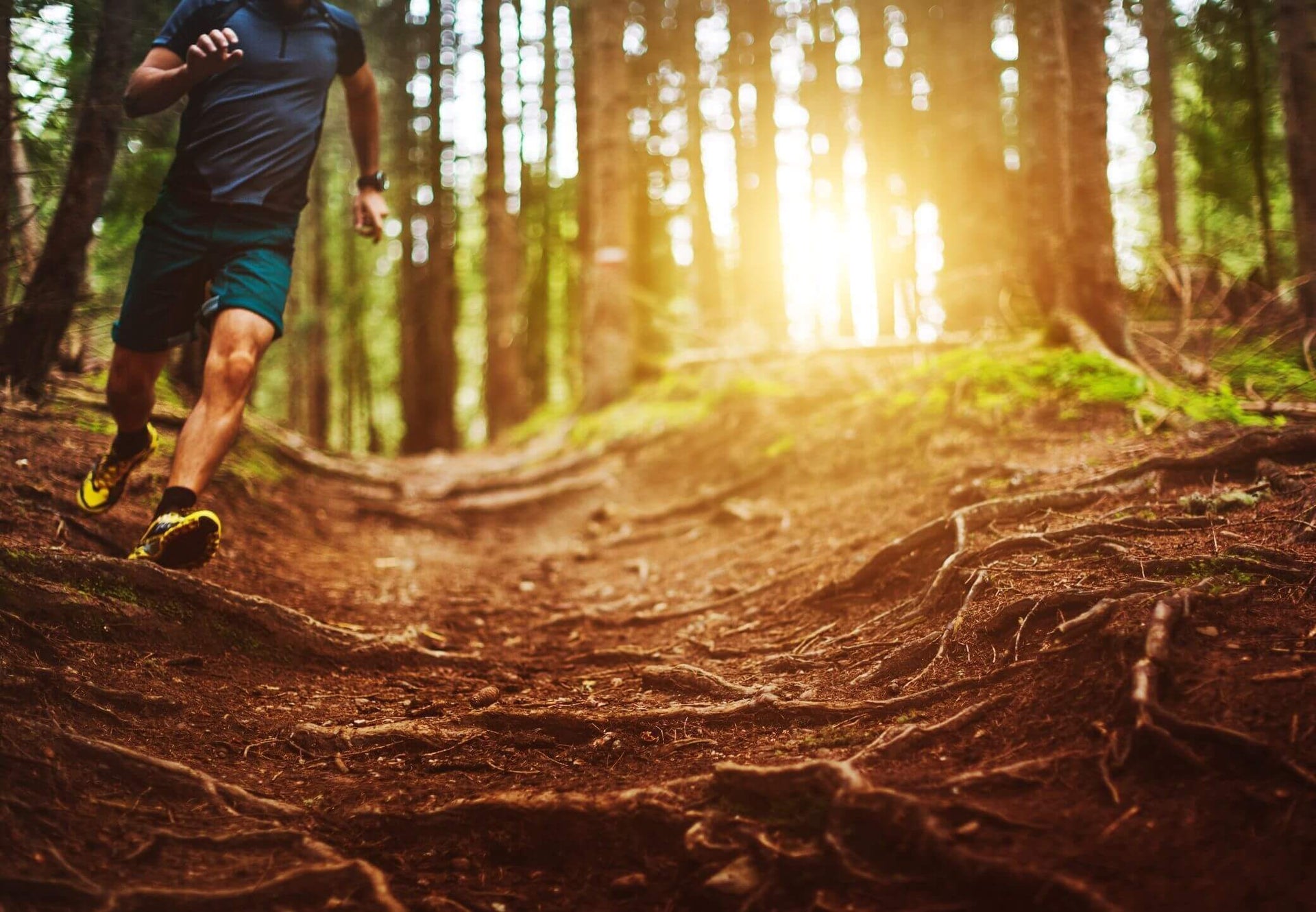 Runforest – Runforest.com
