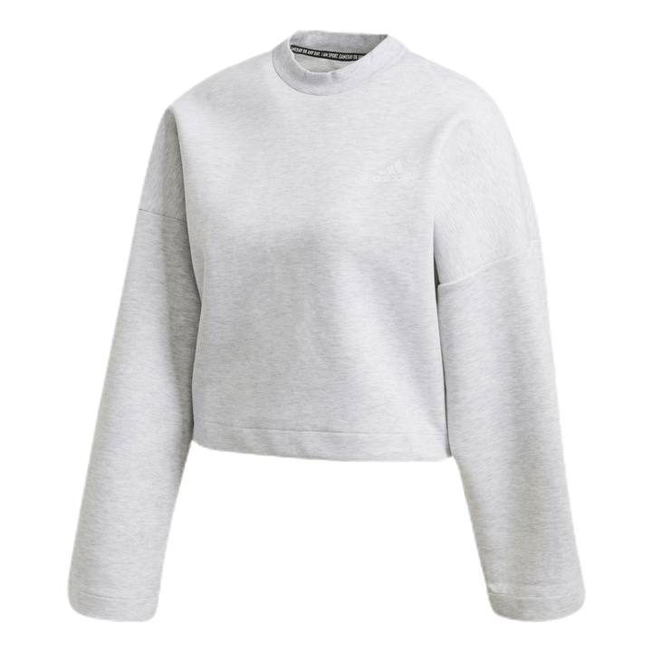 3S Dk Crew Grey