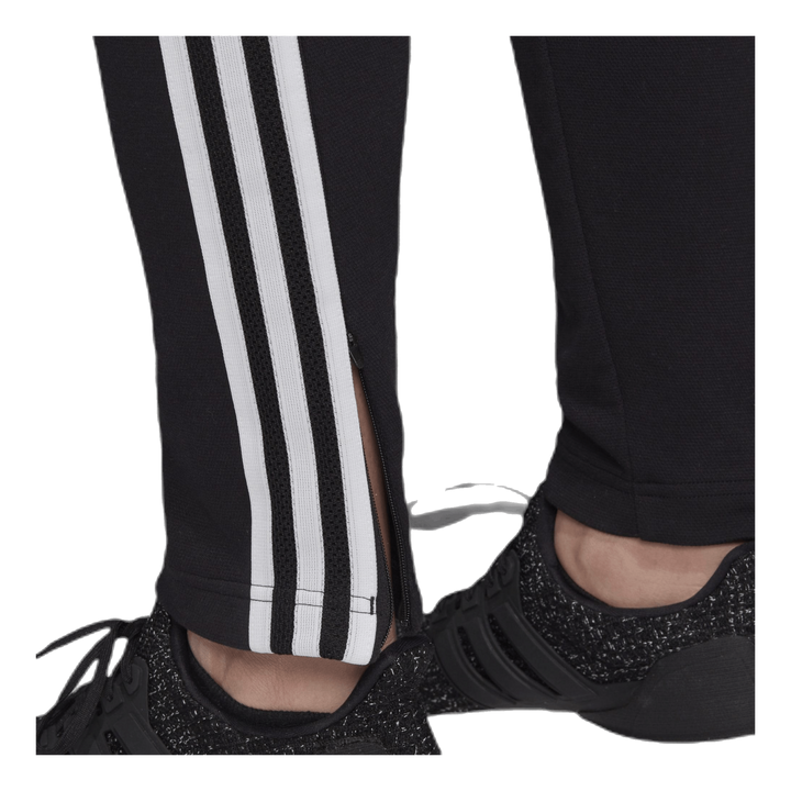 Zne Pant Black