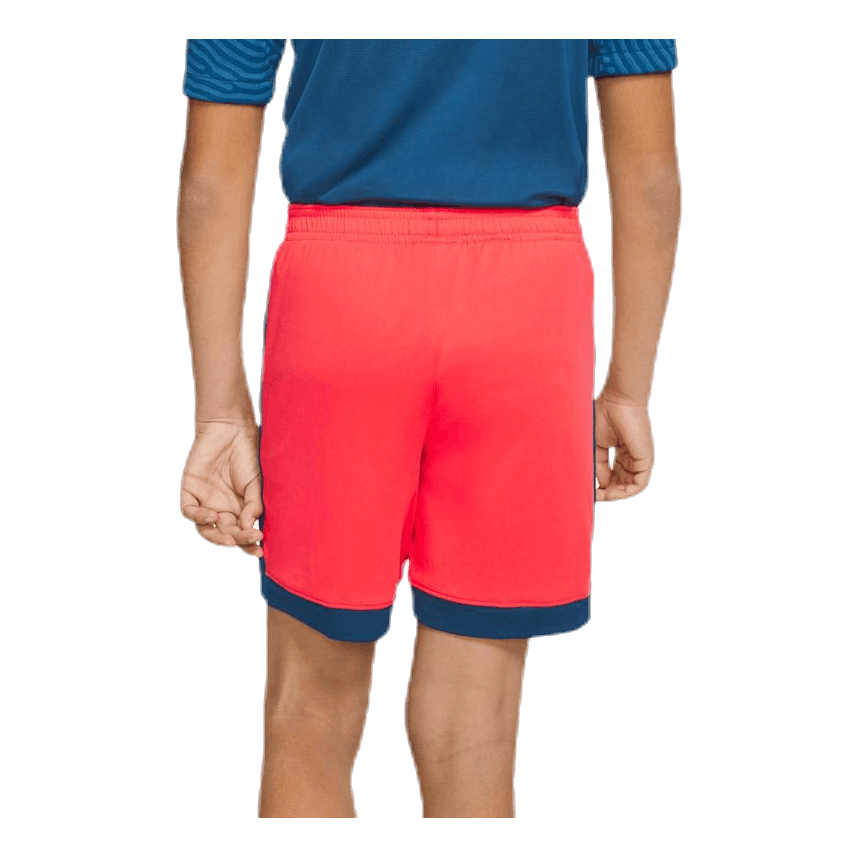 Dry Academy Shorts K Red