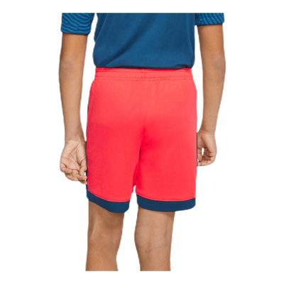 Dry Academy Shorts K Red