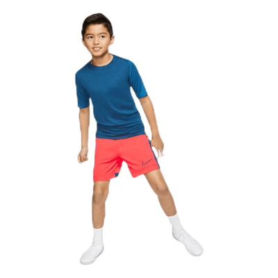 Dry Academy Shorts K Red