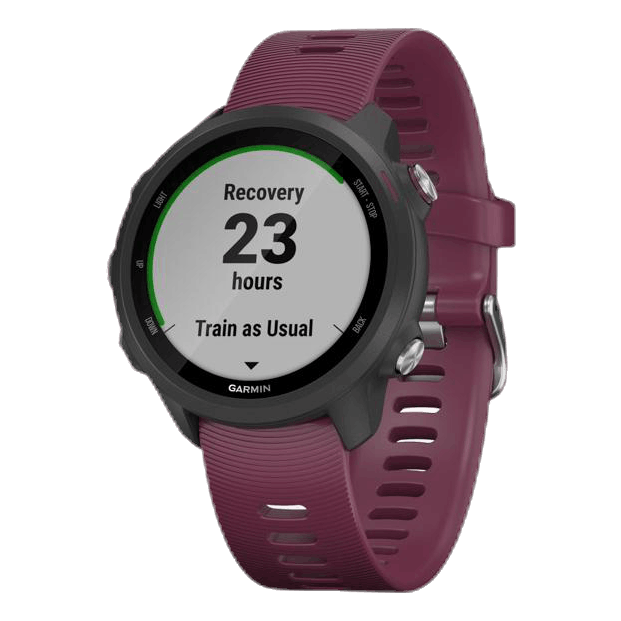 Forerunner 245 Purple/Black