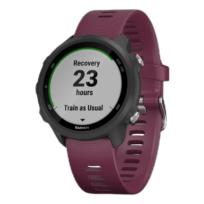 Forerunner 245 Purple/Black