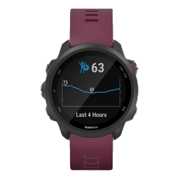 Forerunner 245 Purple/Black