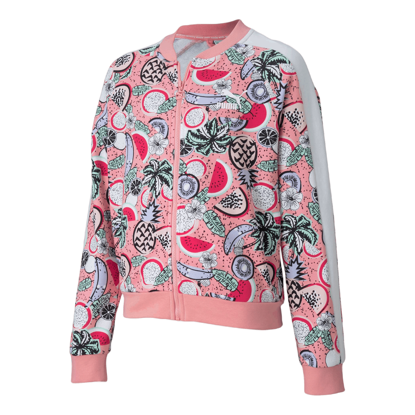 Classics Fruit Jacket G Pink
