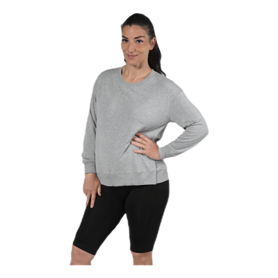The sweatshirt Grey