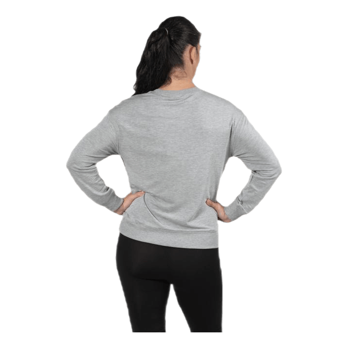 The sweatshirt Grey