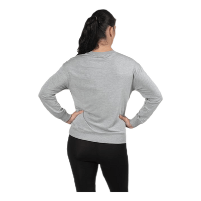 The sweatshirt Grey