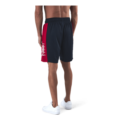 Blocked Iconic Short 9" Blue