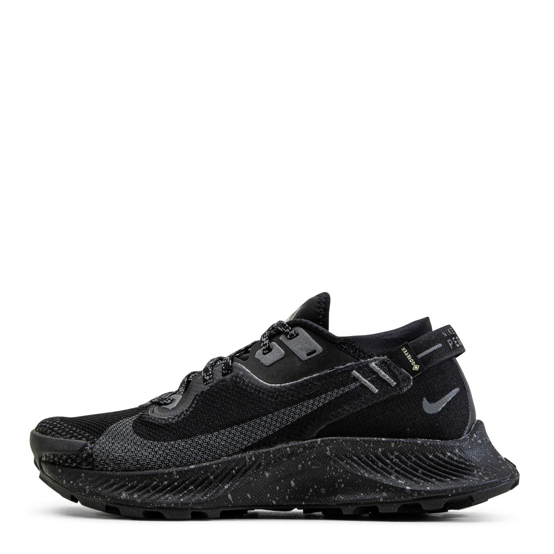 Pegasus Trail 2 GORE-TEX Black/Grey