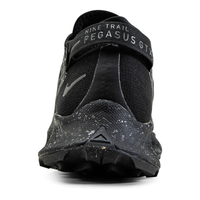 Pegasus Trail 2 GORE-TEX Black/Grey