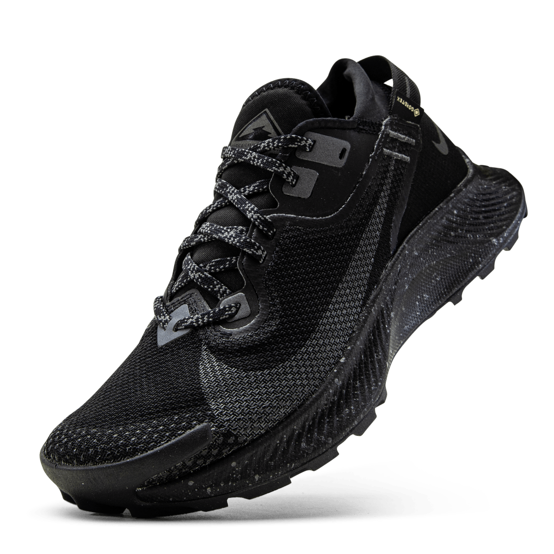 Pegasus Trail 2 GORE-TEX Black/Grey