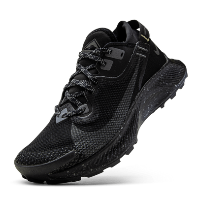 Pegasus Trail 2 GORE-TEX Black/Grey