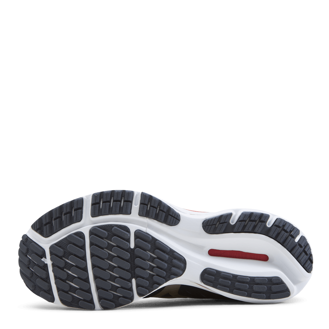 Wave Rider 24 Blue/Grey/Red