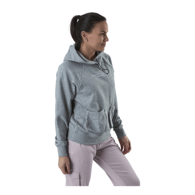 Nsw Swoosh Hoodie Ft Grey