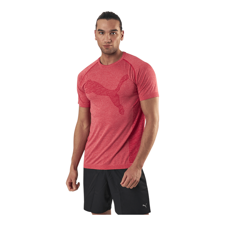 RTG Evoknit Tee Red