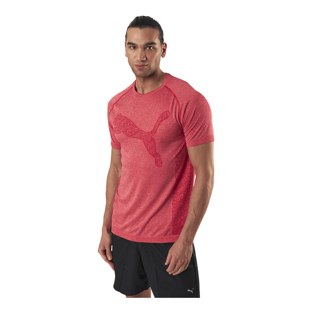RTG Evoknit Tee Red