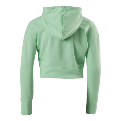 Junior NSW Crop Hoodie Green