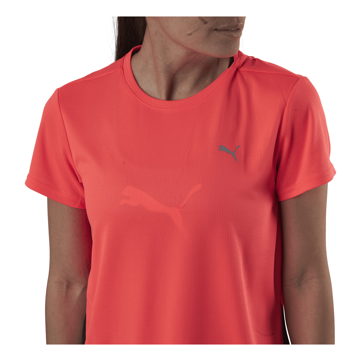 Favorite Ss Tee Orange