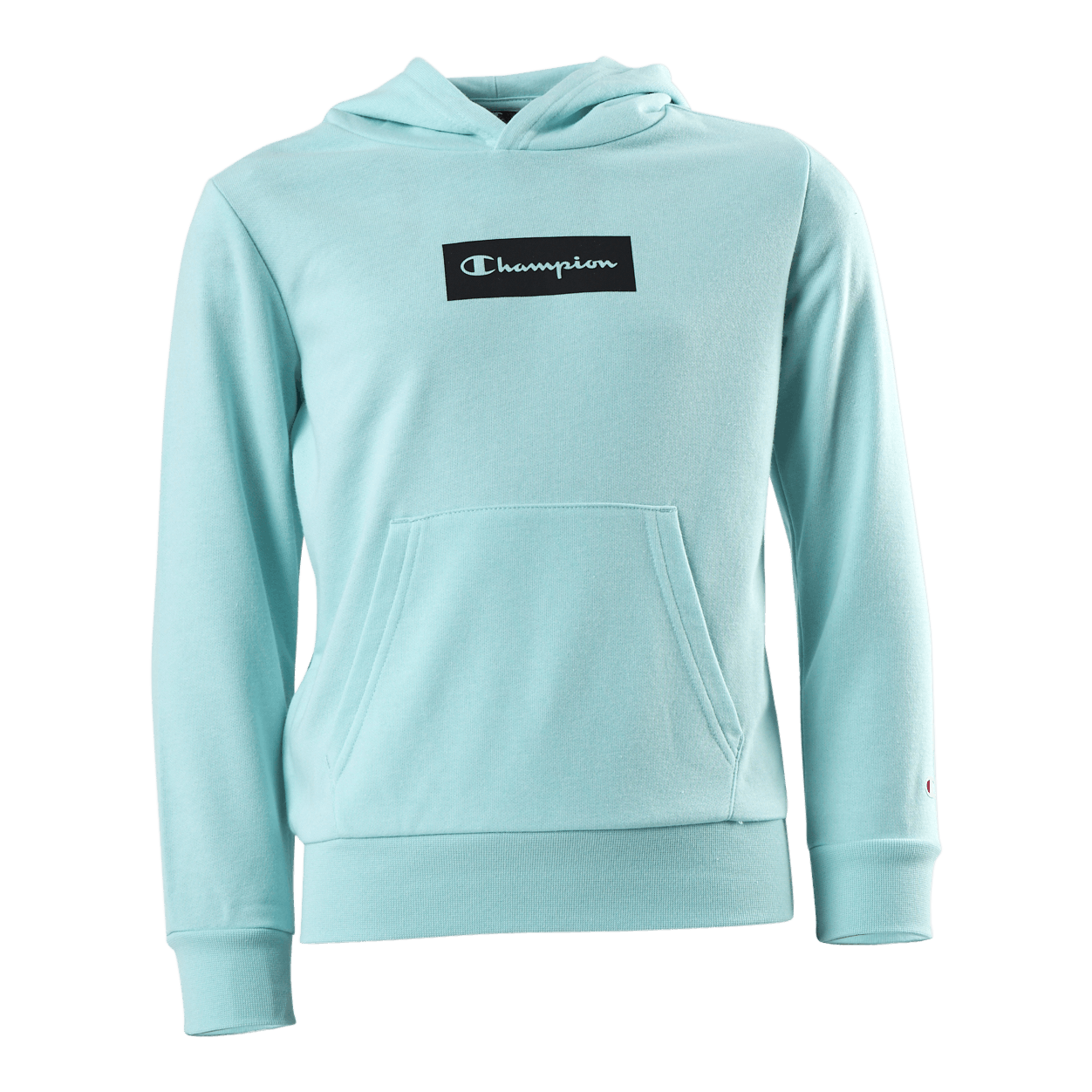 Pastel Hooded Sweatshirt Jr Turquoise