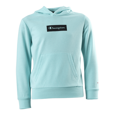 Pastel Hooded Sweatshirt Jr Turquoise