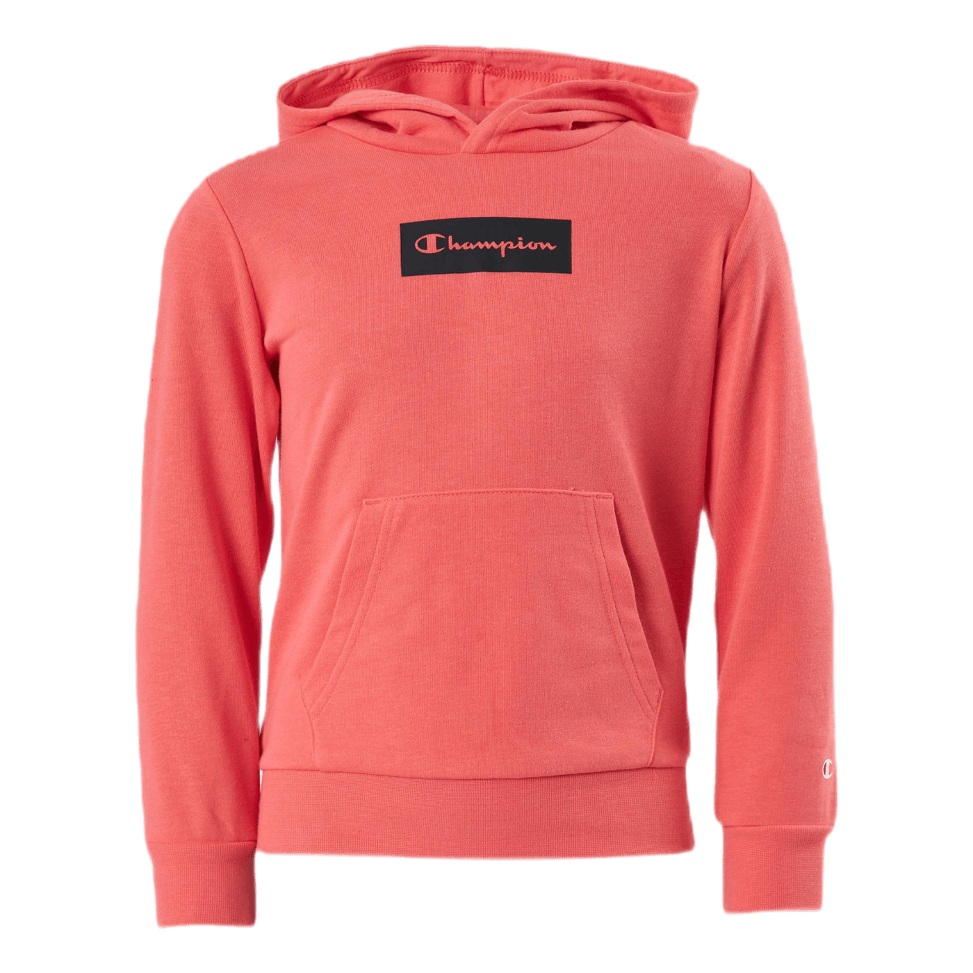 Pastel clearance champion hoodie