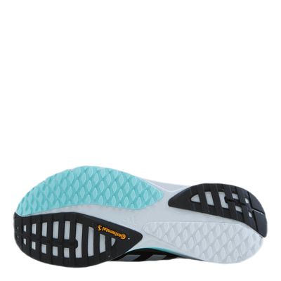 SL20 Shoes Core Black / Silver Metallic / Clear Aqua
