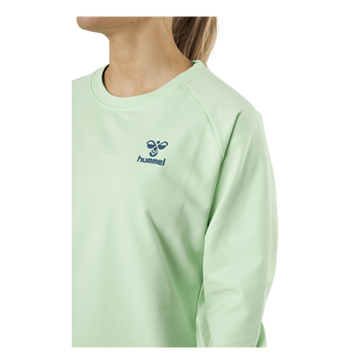 Cotton Sweatshirt Blue/Green