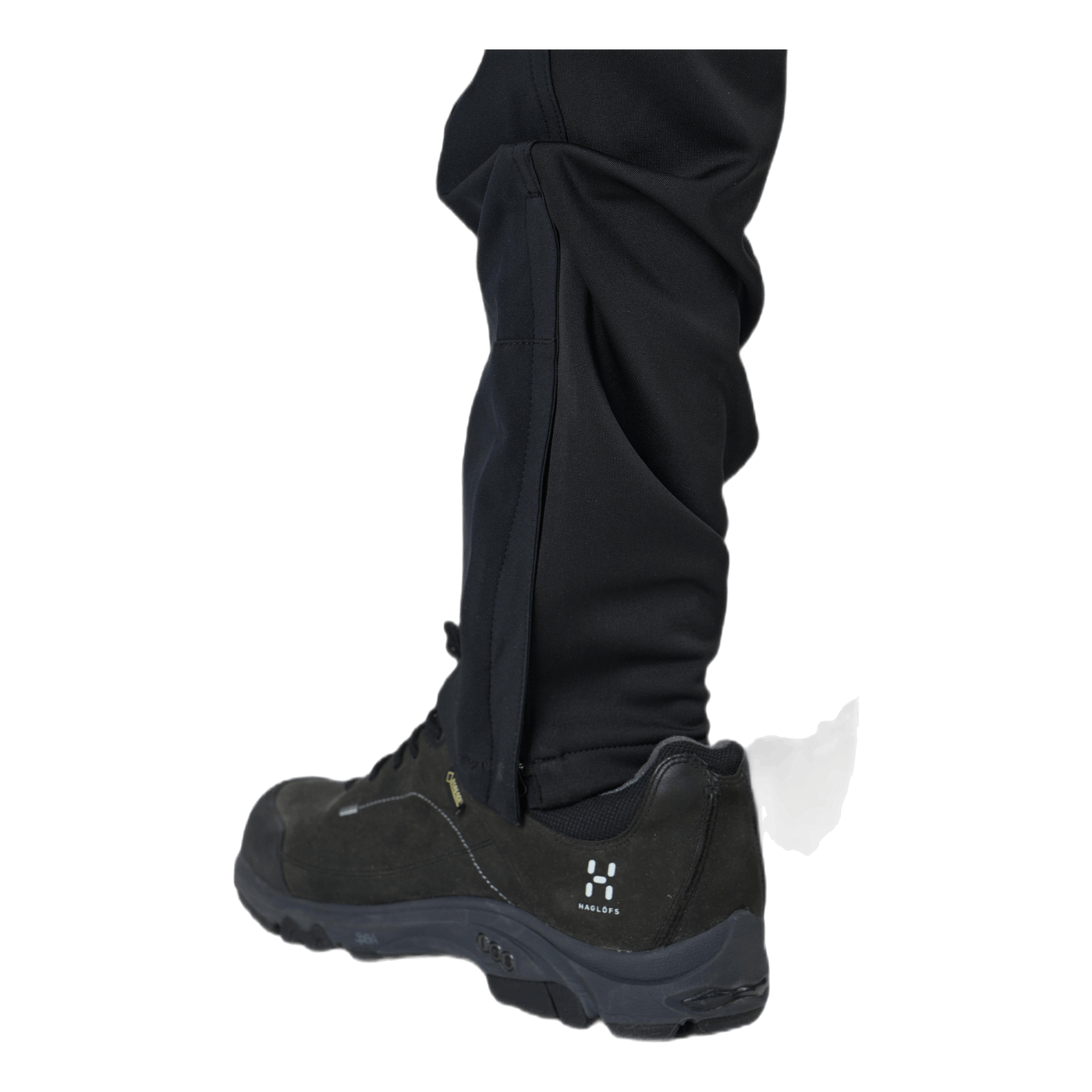 Dorr Black