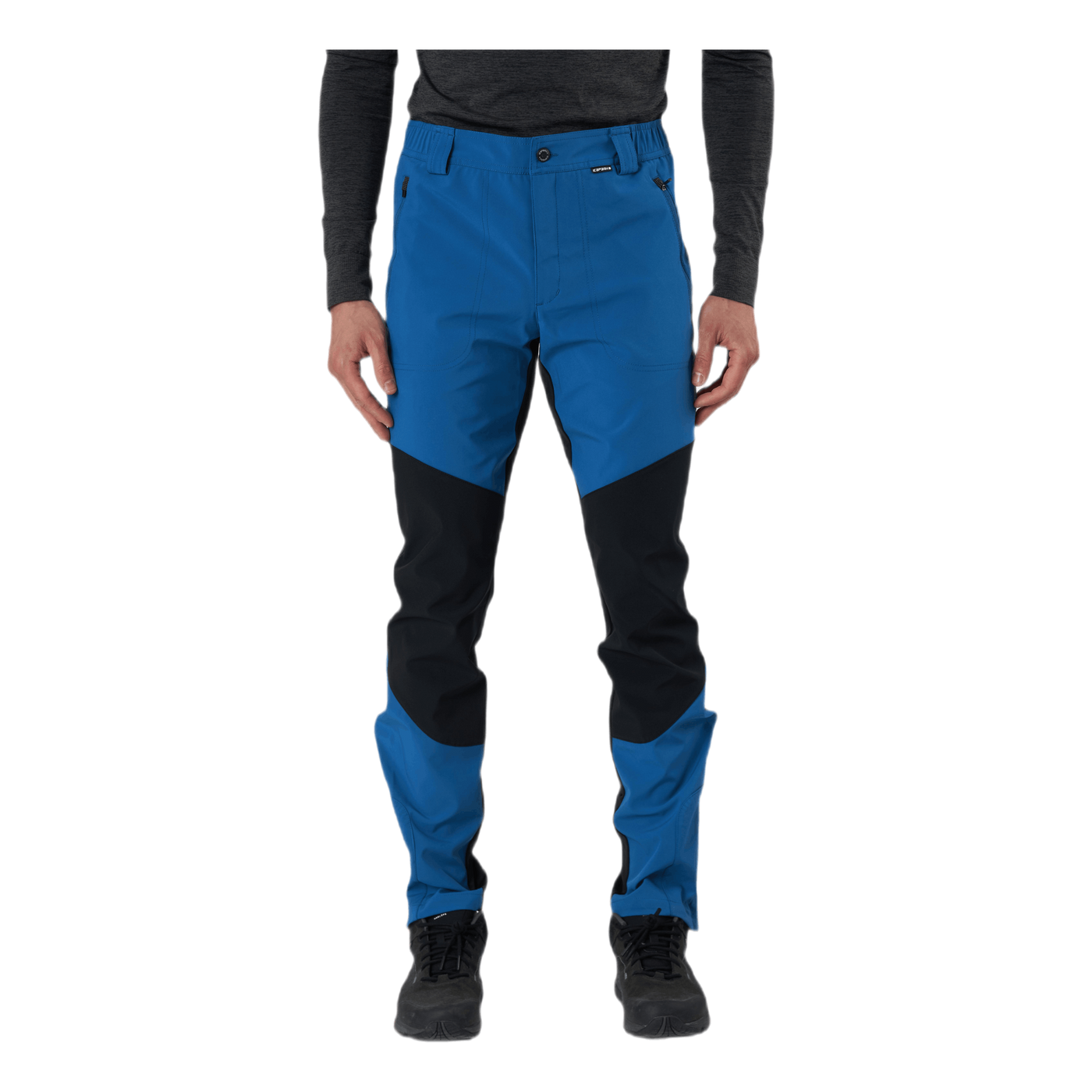 Dorr Blue