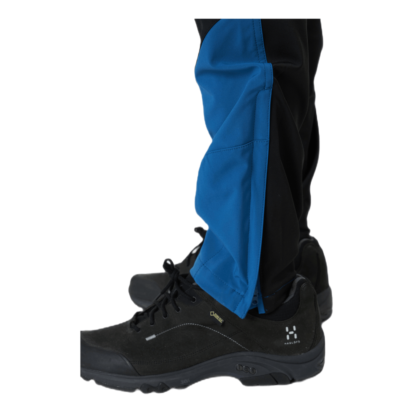 Dorr Blue