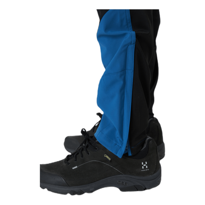 Dorr Blue