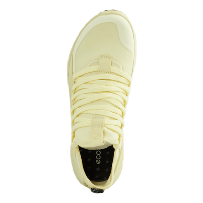 Biom 2.0 Low Tex Sherbet