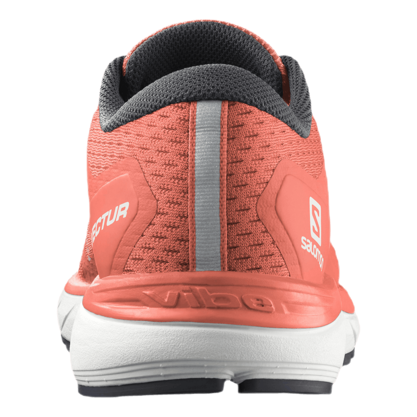 Salomon vectur online