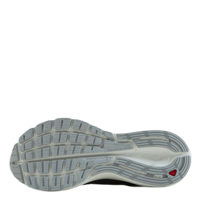 Vectur White